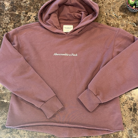 Abercrombie & Fitch Mauve Soft Fleece Oversized Cropped Logo Hoodie size XS - Picture 2 of 8